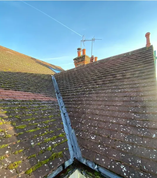 Tiled roof covered in moss before cleaning